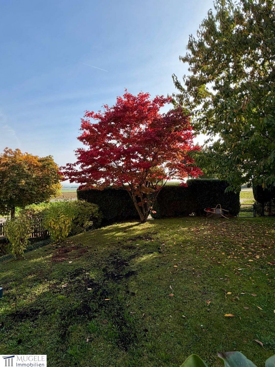 Garten Reihenmittelhaus G�ufelden